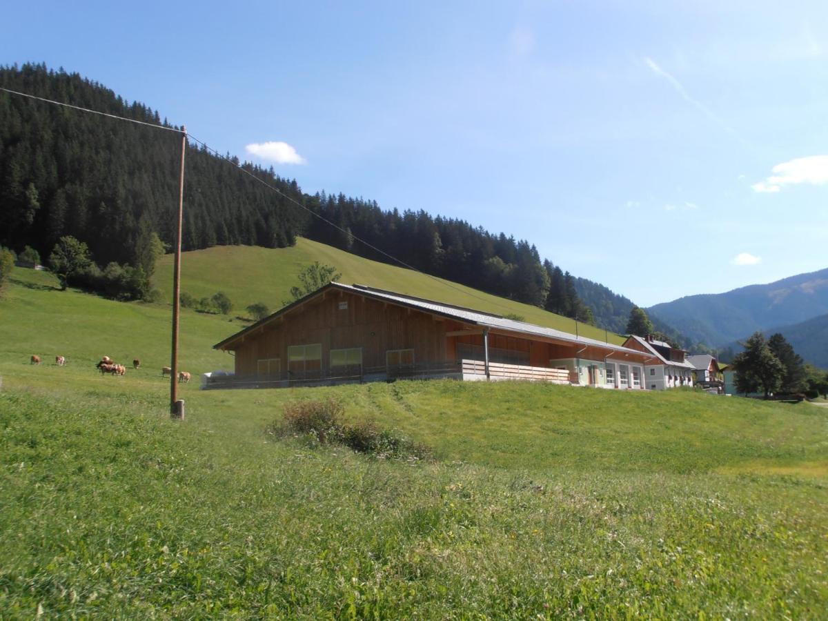 Bauernhof Huberbauer *